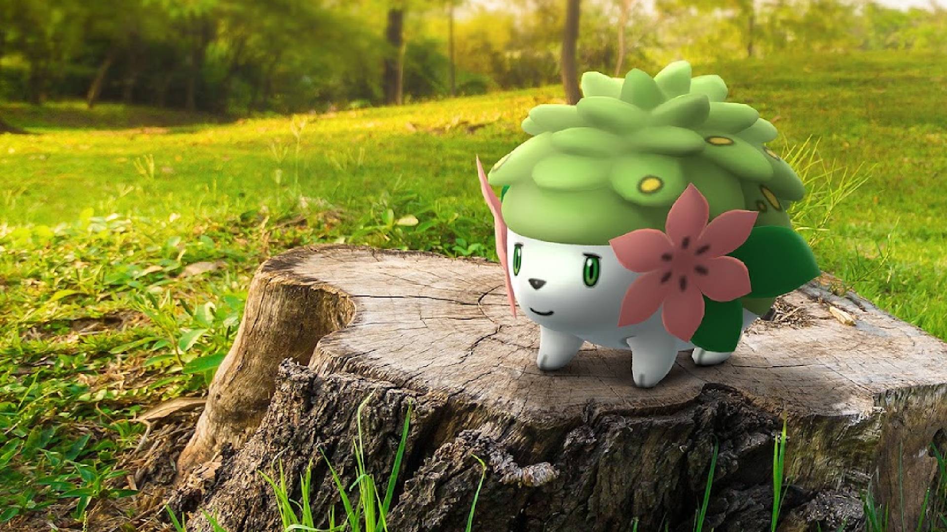 How to get Shaymin Land Forme for free in Pokémon GO: all the