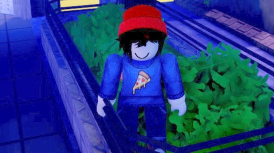 Anime Defenders codes - a character in blue pizza jumper and red beanie stood in a flowerbed