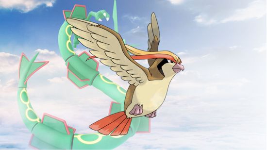 The flying Pokemon Pidgeot in front of a picture of Rayquaza in the sky