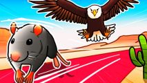 mouse and eagle race on a track in animal race game