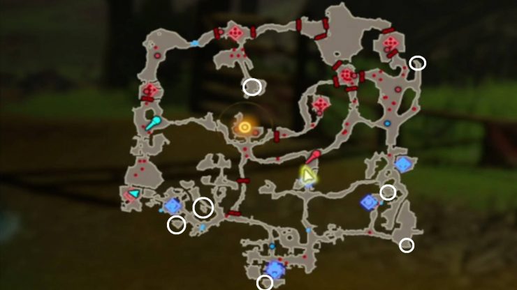Where to find all of Hyrule Warriors: Age of Calamity Korok Seeds