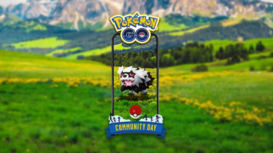 Pokemon Go August Community Day - Galarian Zigzagoon Dans Un Téléphone Dans Un Champ