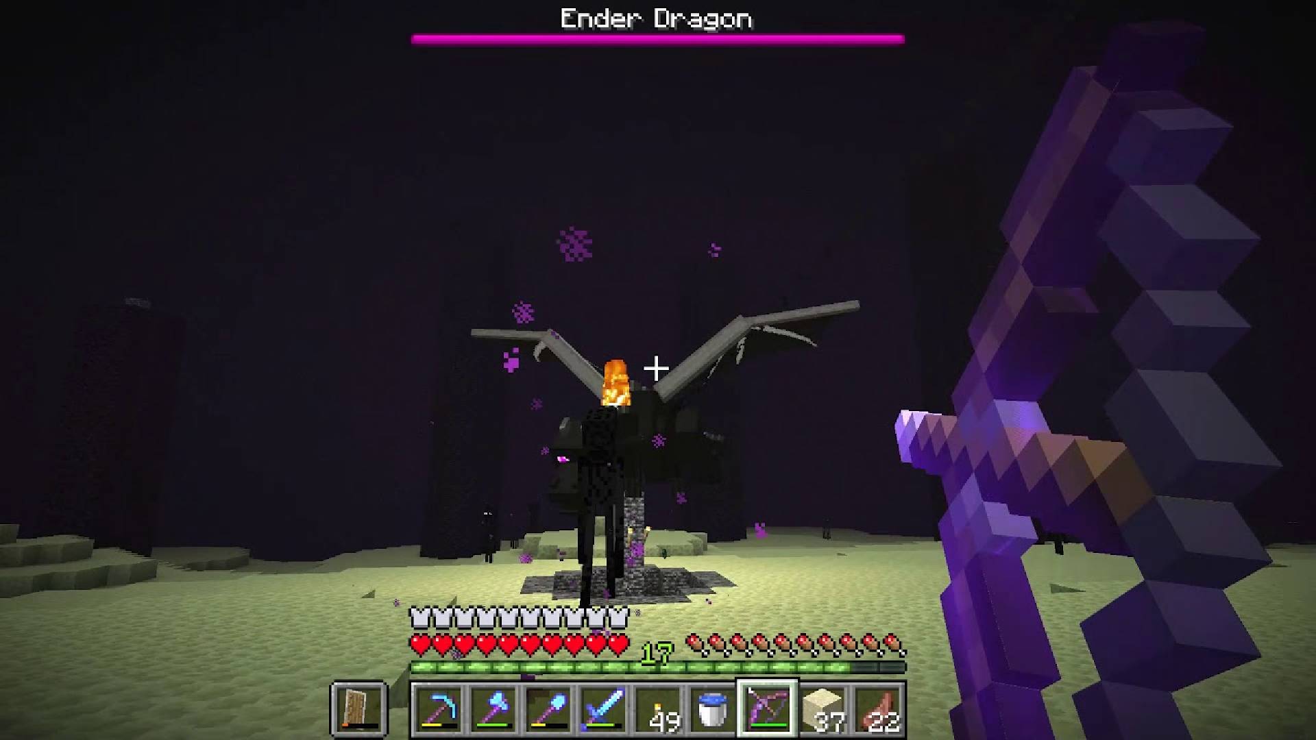 How To Beat The ENDER DRAGON EASY!